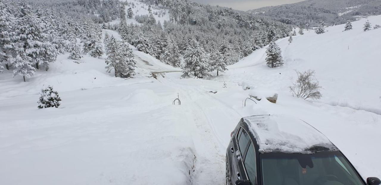 Lodge Ljubiska Previja Luaran gambar